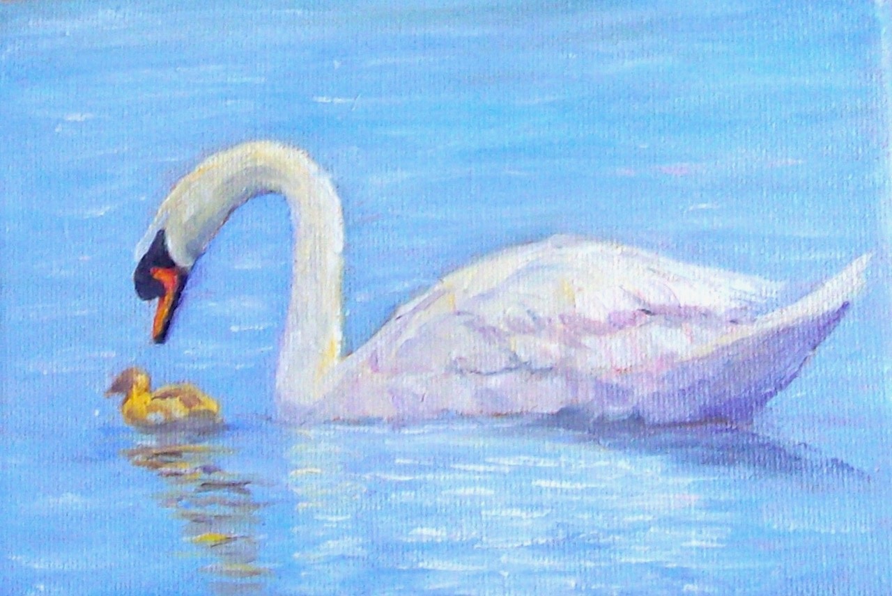 swan.jpg